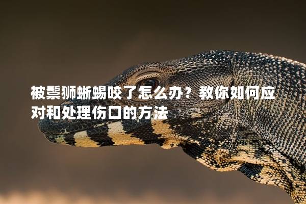 被鬃獅蜥蜴咬了怎么辦？教你如何應對和處理傷口的方法